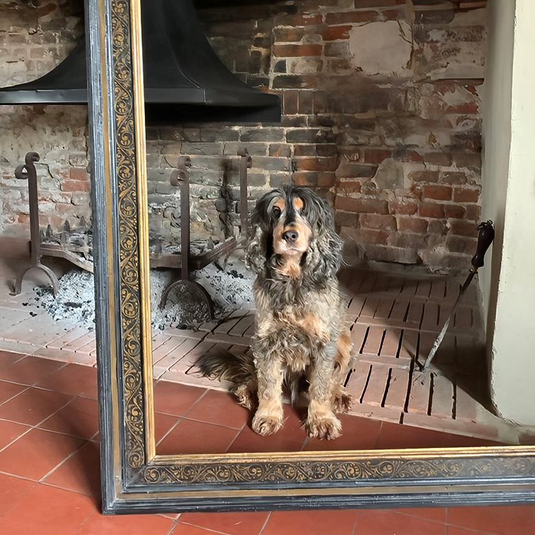 16th century Netherlandish frame